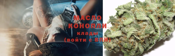 PSILOCYBIN Алзамай