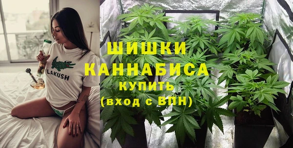 PSILOCYBIN Алзамай