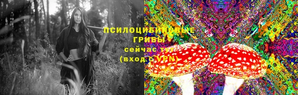 PSILOCYBIN Алзамай