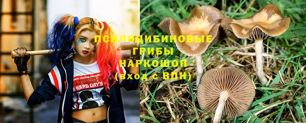 прущие грибы Алексеевка