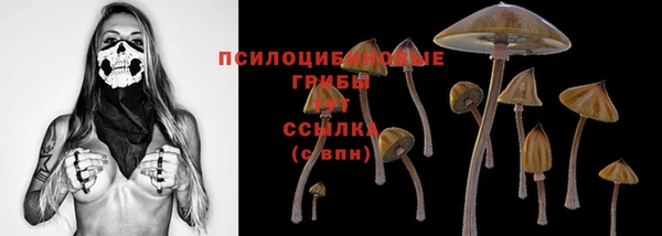прущие грибы Алексеевка