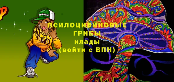 прущие грибы Алексеевка