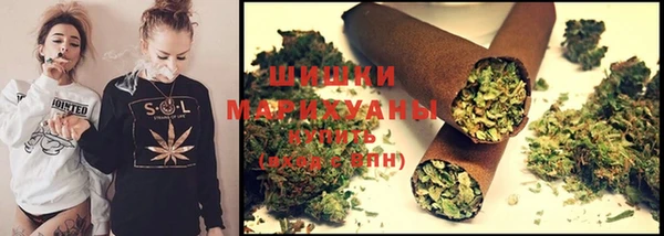 PSILOCYBIN Алзамай