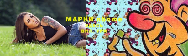 PSILOCYBIN Алзамай