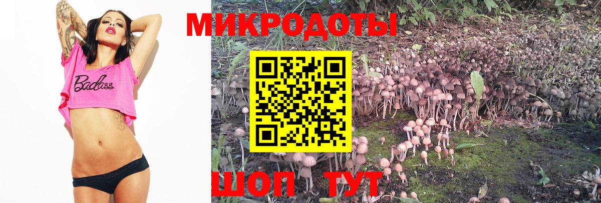 Амфетамин Губкин