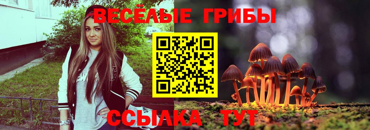 Псилоцибиновые грибы прущие грибы  Псилоцибиновые грибы мицелий  Вход с VPN  Губкин 