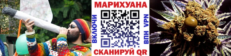 Конопля сатива  Губкин 